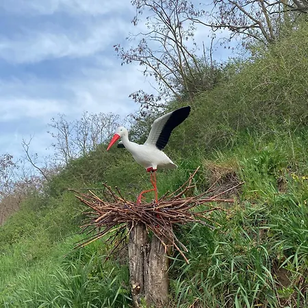 Appartement Apartman Strachotin Strachotin