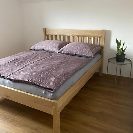 Apartman Strachotin *