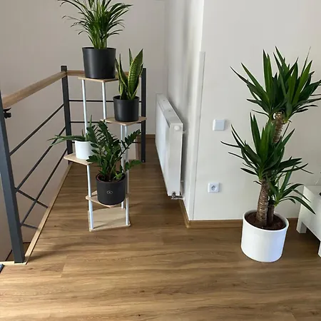 公寓 Apartman Strachotin 斯特拉霍廷