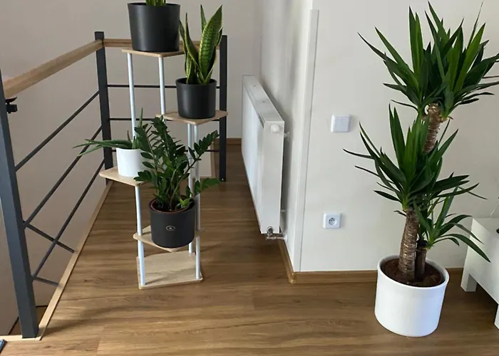 Apartamento Apartmán Strachotín Strachotin