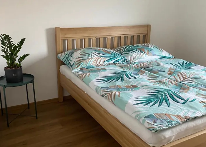 Apartman Strachotin 公寓 斯特拉霍廷